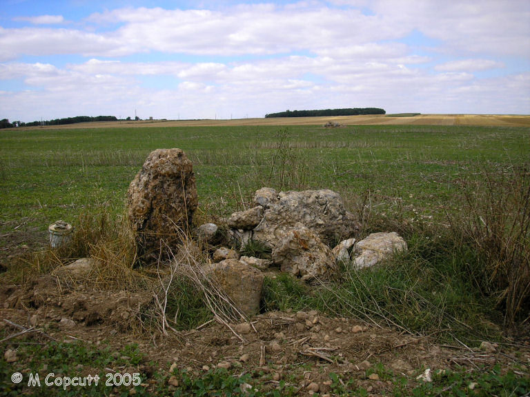 Baignon 4 really is no more than a small heap of stones in the middle of a field. Actually, there is one stone still standing, but that’s it. Its all a nice puddingstone though, so it does have its good points.