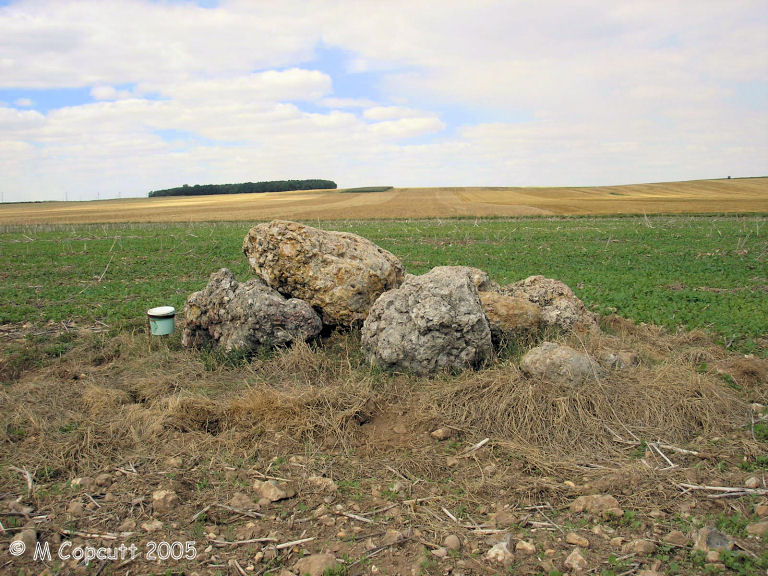 Baignon dolmens (5)