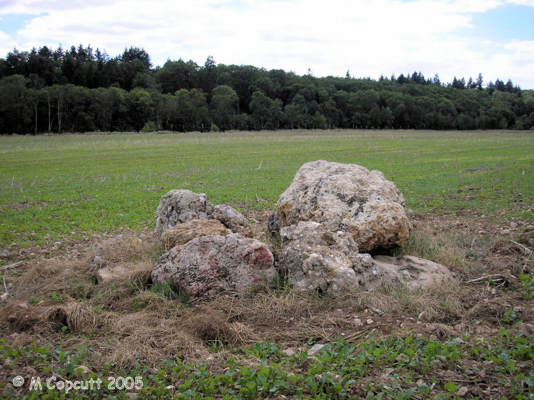 Baignon dolmens (5)