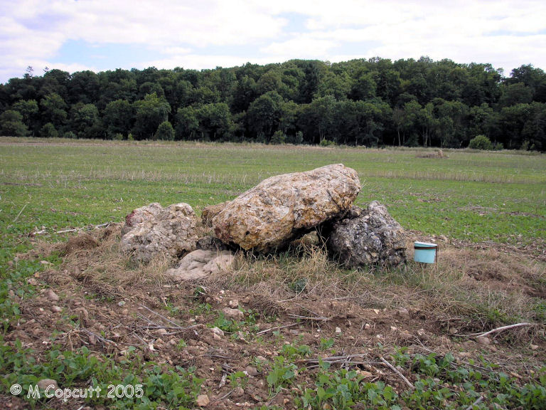 Baignon dolmens (5)