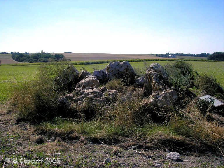 Hauts-de-Bretagne dolmen