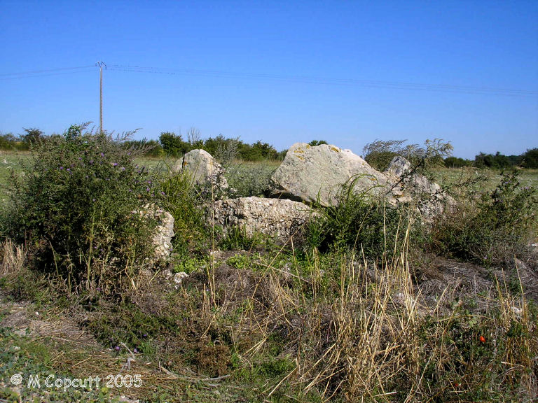 Hauts-de-Bretagne dolmen