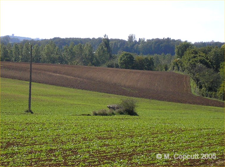 Click for the gallery page to add comments and vote (PID:42692) La Pierre Levée (Graçay)