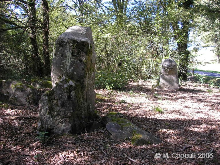 Tréfoux deux menhirs