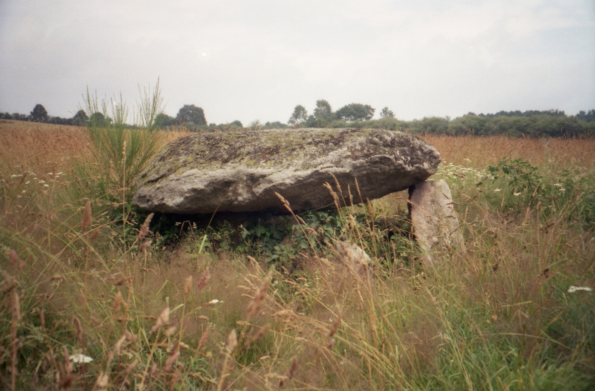 Dolmen de Chardy