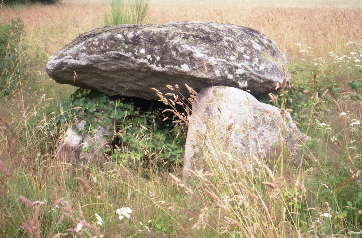 Click for the gallery page to add comments and vote (PID:211516) Dolmen de Chardy