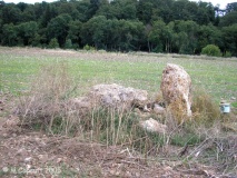 Baignon dolmens (4)