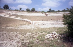 Argentomagus