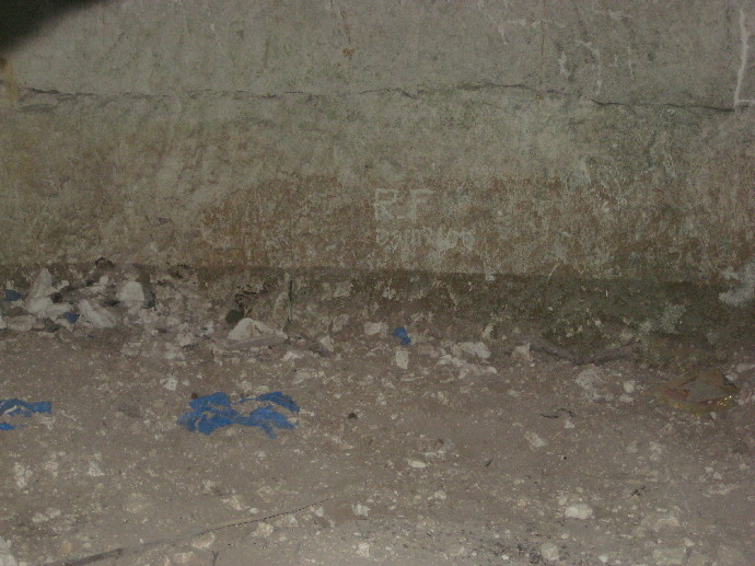 This collection of at least 6 original chambered tombs as well as a potential 2 more under cement and steel covers are burrowed into the chalky Champagne ground in between the vineyards. The area is now fenced off.
They are in various stage of preservation.
The grafity in the back tells you why the best tombs were locked up.
