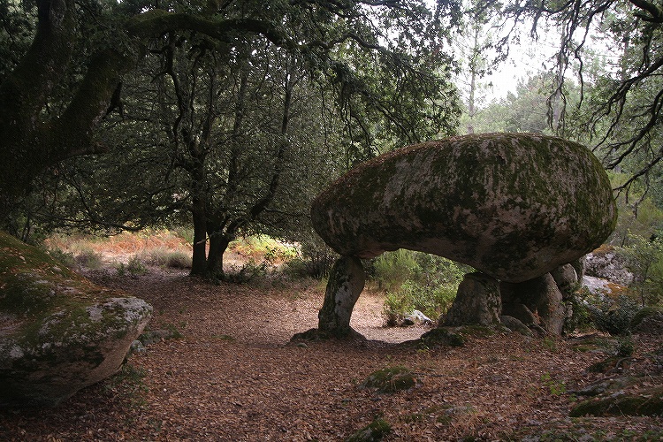 Click for the gallery page to add comments and vote (PID:42823) Pacciunituli Dolmen