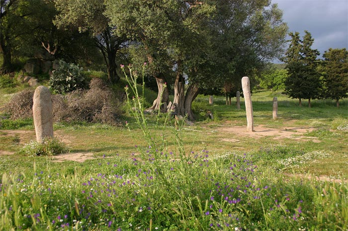 Click for the gallery page to add comments and vote (PID:11355) Filitosa Menhirs