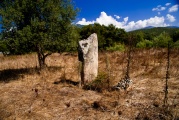 U Frate e a Sora menhirs  - PID:103384