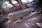 Santa Naria statue-menhir I - PID:103382