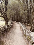 Castellu di Cucuruzzu - PID:307000