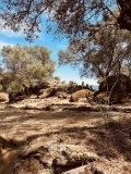 Filitosa Statues-Menhirs - PID:306976