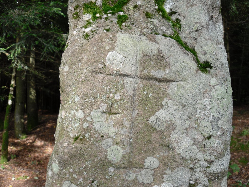 Menhir dit la Pierre des Gaulois