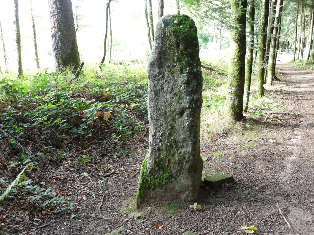 Menhir dit la Pierre des Gaulois