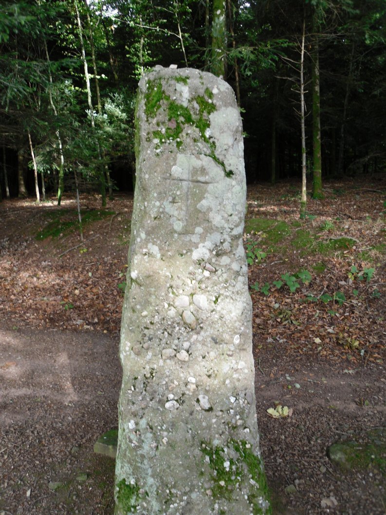 Menhir dit la Pierre des Gaulois