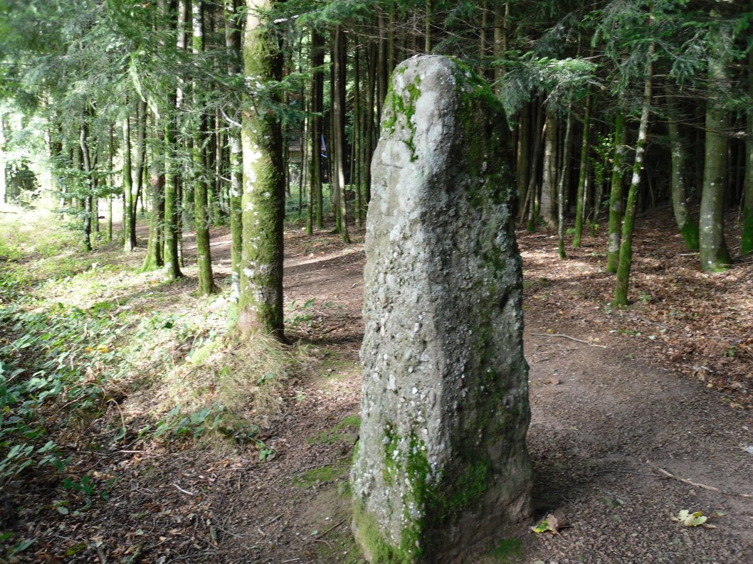 Menhir dit la Pierre des Gaulois