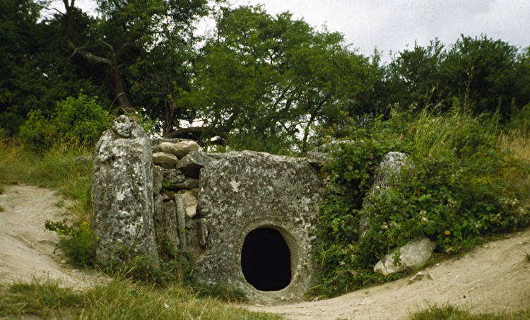 Bois Couturier Allée couverte