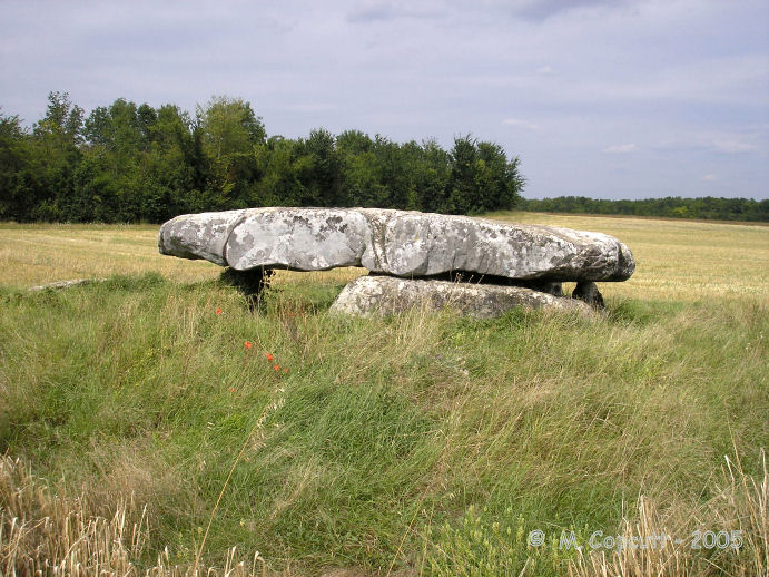 Pierre de l'Armoire can be found a couple of kilometres north of the village of Rumont. 
 
It looks to be an Angevin type dolmen, with a rectangular chamber 4 metres long by 2.5 metres in width, and it is covered by a large capstone of irregular shape. 