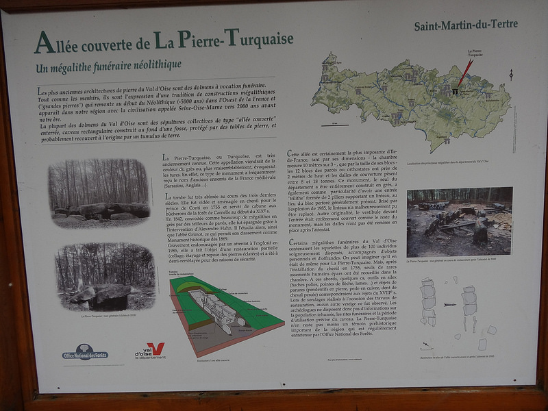 Click for the gallery page to add comments and vote (PID:118271) Pierre Turquaise