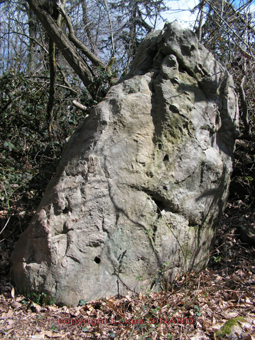 Vigne des Grès Menhir (PID:20874) Vigne des Grès Menhir