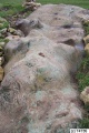 Menhir dit la Pierre Droite (Paly) - PID:11300