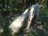 Menhir dit la Pierre Beaumirault - PID:149607