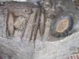 Musée D'Archeologie Nationale