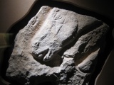 Musée D'Archeologie Nationale