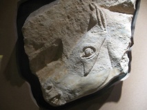 Musée D'Archeologie Nationale