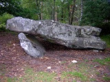 Dolmen de la Pierre Ardoue submitted by Toto_Jones
