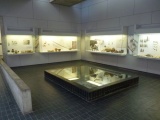 Musee de la Prehistoire d'Ile de France submitted by neolithique02