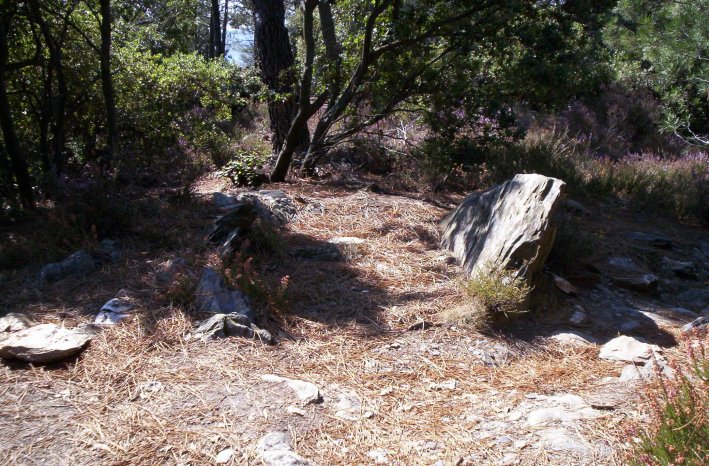 Dolmen de Saint-Pierre 1