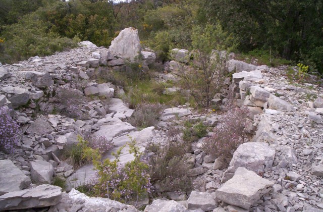 Truc de Marti tombe ovale