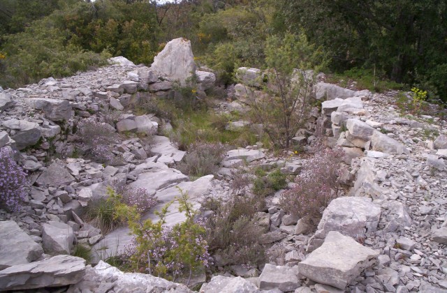 Site in Languedoc: Hérault (34) France:

tomb no.1