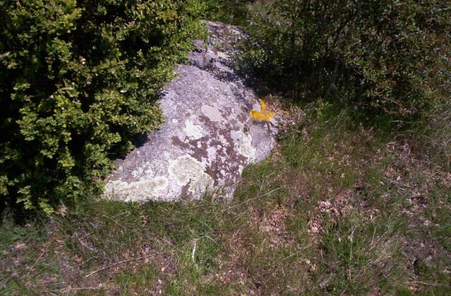 Col de Vernes menhir 1