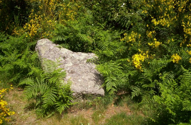 Col de Devinaïre menhir 1