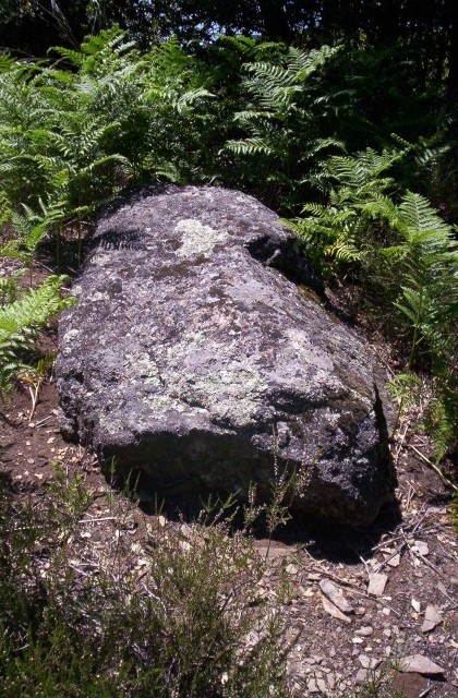 Menhir du Col de l'Astric 2