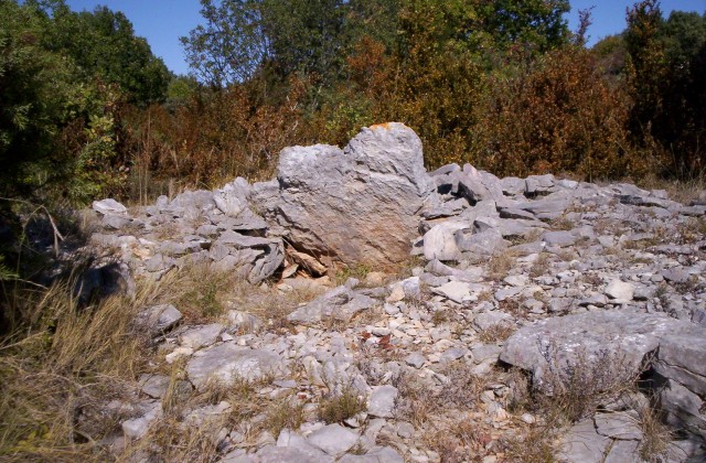 Click for the gallery page to add comments and vote (PID:52925) Feuilles Dolmen 2