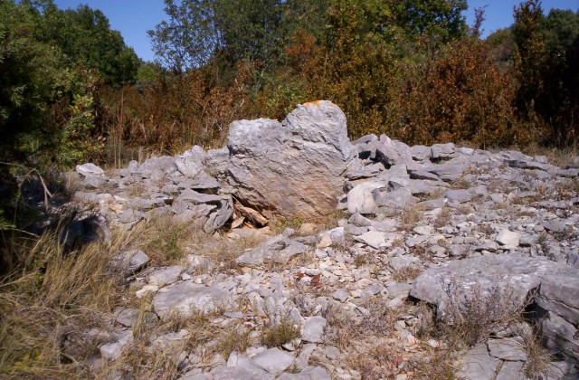 Feuilles Dolmen 2