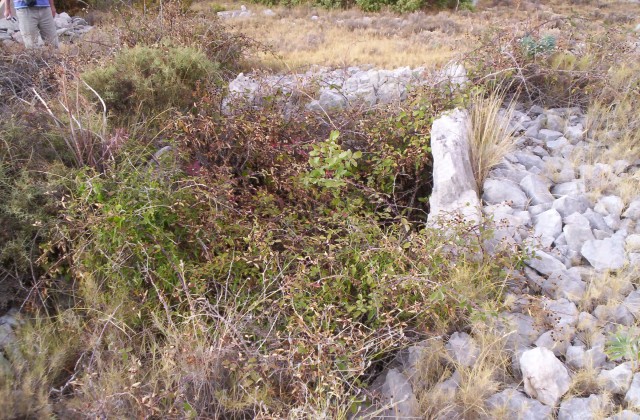 Click for the gallery page to add comments and vote (PID:52923) Dolmen de la Croix de l'Yeuse 2