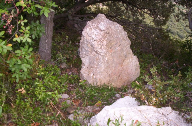 Click for the gallery page to add comments and vote (PID:52924) Croix de l'Yeuse menhir
