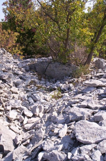 Click for the gallery page to add comments and vote (PID:77891) Dolmen de Capucin 2