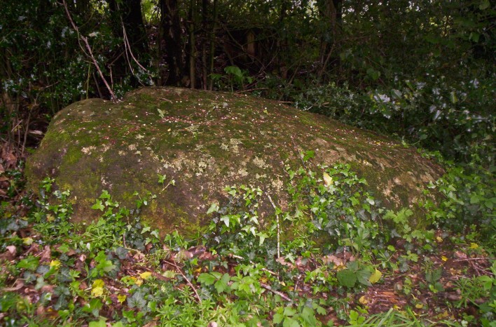 Statue menhir de la Gruasse 1