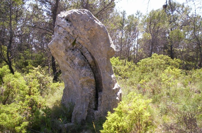 Menhir du Ranc