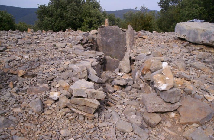Dolmen de Puechs