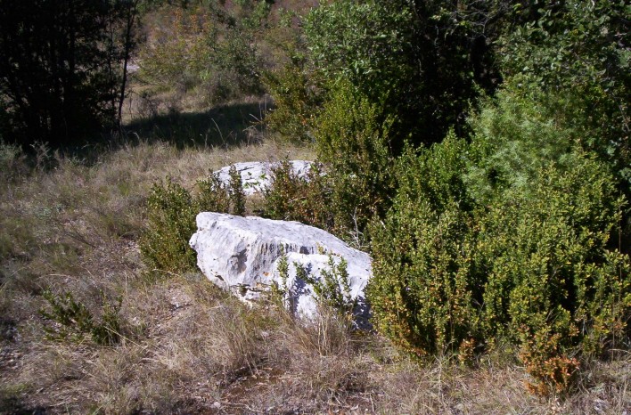 Click for the gallery page to add comments and vote (PID:68913) Caizergues menhirs