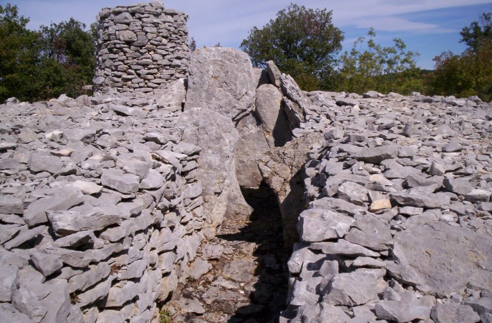 Feuilles Dolmen 1